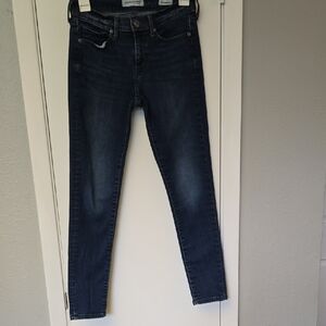 Banana Republic Blue Skinny Jeans Classic Fit